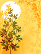 autumn background