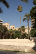 street of alicante