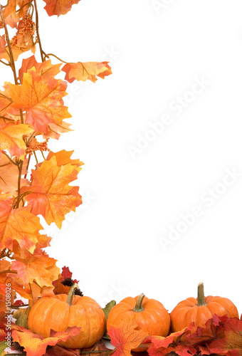 Pumpkins With Fall Leaves