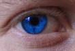oeil bleu gp oeil bleu gp