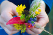 autumn colorful forest bouquet in child hand autumn colorful forest bouquet in child hand