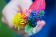 autumn forest bouquet in child hand autumn forest bouquet in child hand