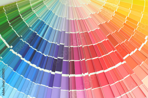 Foto: colour palette colour palette
