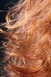 loose red hair in the sun loose red hair in the sun