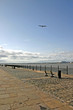 mersey seagull