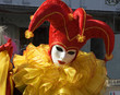 court jester