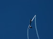 glider aerobatic