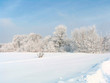 russian winter