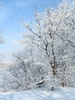 russian winter
