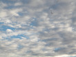 outbound flights outbound flights