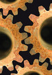 rusty gear rusty gear