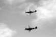 kittyhawk & ca-18 formation flying (b&w)