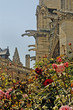 notre dame - paris