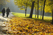 pensioners walking pensioners walking