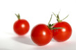 tomates cerise tomates cerise