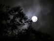 full moon 2