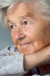 adorable senior woman adorable senior woman