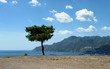 solitario solitario