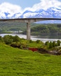 bridge north of the  polar circle