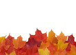 fall leaf border