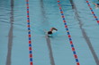 swimmer
