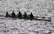 rowers in backlight