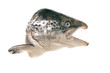 poisson