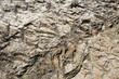 background of a rock texture
