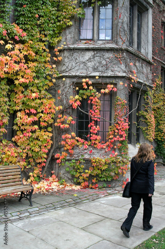 Photo: bay window with red ivy bay window with red ivy