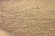 one person on the beach one person on the beach