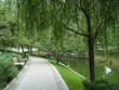 park