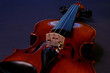 violin w/dark background