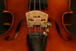 violin macro/close-up