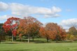autumn colors