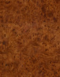 burlwood texture