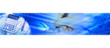 architecture banner