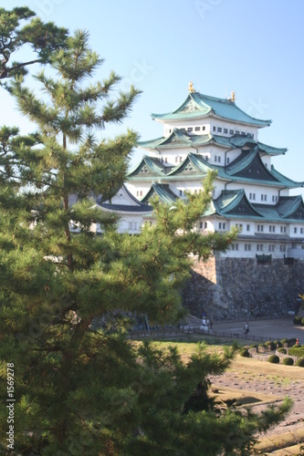 nagoya castle 10