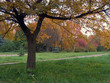 autumn park 10