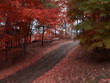 autumn glory
