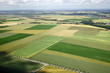 french fields