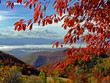fall is here