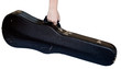 viola case