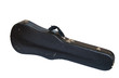 viola case
