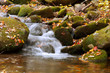 cascades autumn alpha