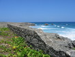 the north coast