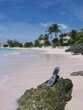 phone on beach