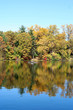 autumn reflection