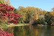 autumn reflection