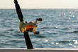 fishing rod and casting reel