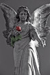 cemetery angel
